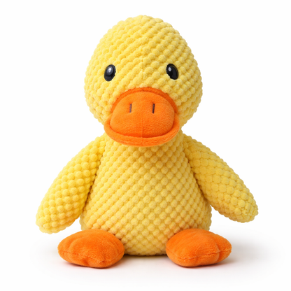 Squeaky Duck Toy