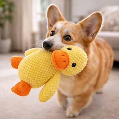 Squeaky Duck Toy