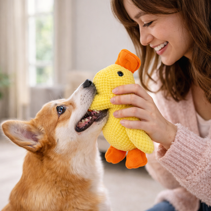 Squeaky Duck Toy