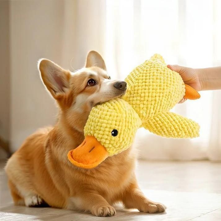 Squeaky Duck Toy